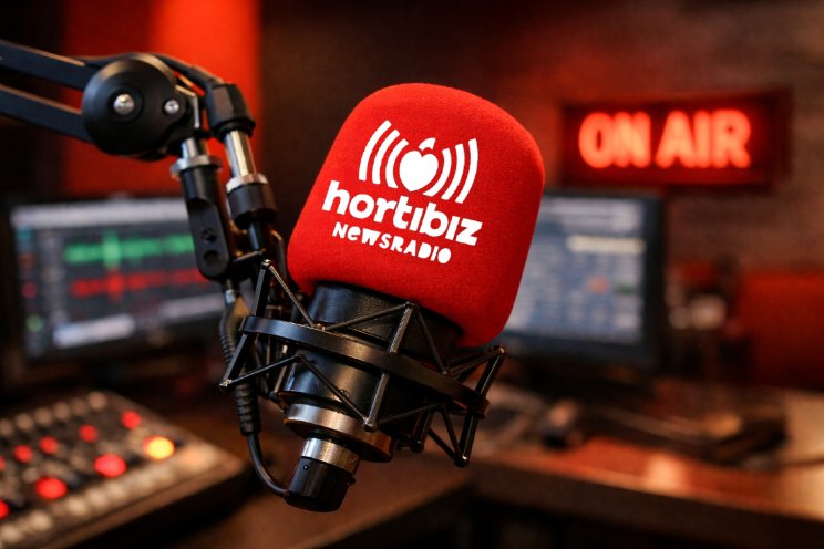 LetsGrow.com helpt BASF Nunhems met data-inzicht